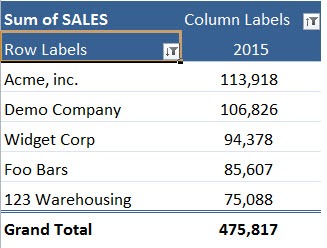 Pivot Table Filter: Top 5 Customers