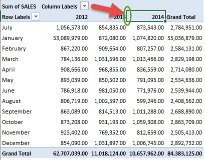 Sort an Excel Pivot Table Manually