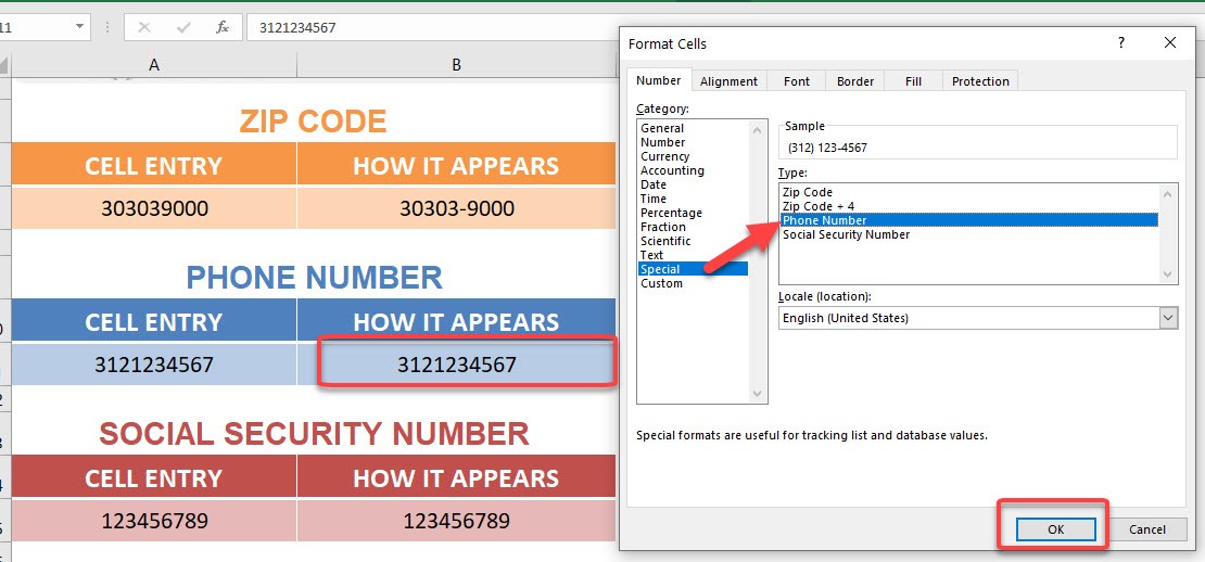 Format Cells: Special Numbers