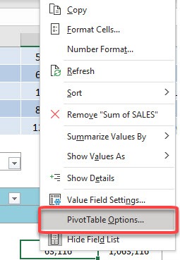 Classic Pivot Table Layout View