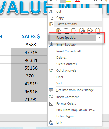 Excel Paste Special: A Values Multiplier