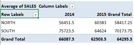 Show Average in Pivot Table