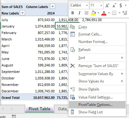 Clear & Delete Old Pivot Table Items cache