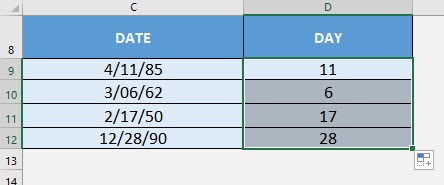 DAY Formula in Excel