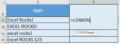 LOWER Formula in Excel