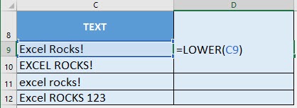 LOWER Formula in Excel