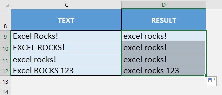 LOWER Formula in Excel