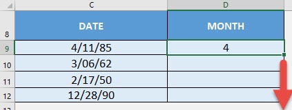 DAY Formula in Excel