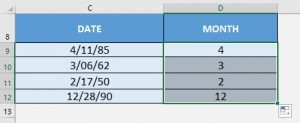 MONTH Formula in Excel | MyExcelOnline