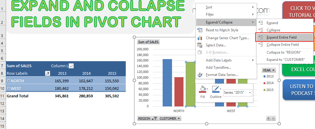 Expand and Collapse Fields in Pivot Charts in Excel