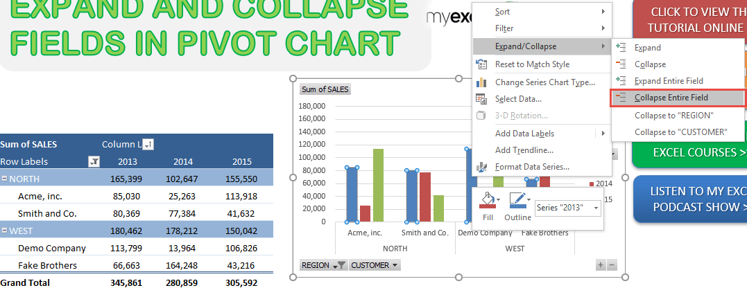 Expand and Collapse Fields in Pivot Charts in Excel