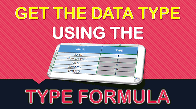 TYPE Formula in Excel