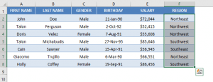 Create Form in Excel for Data Entry | MyExcelOnline