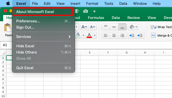 Top 3 Ways to Check Excel Version That You Are Using! | MyExcelOnline