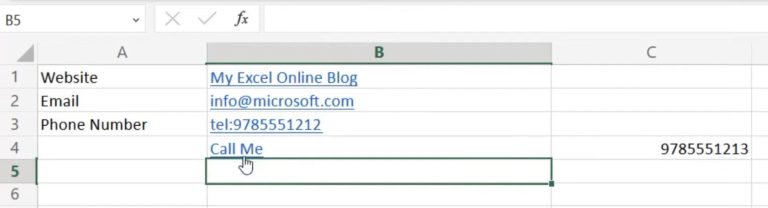 Inserting a Hyperlink in Microsoft Excel | MyExcelOnline