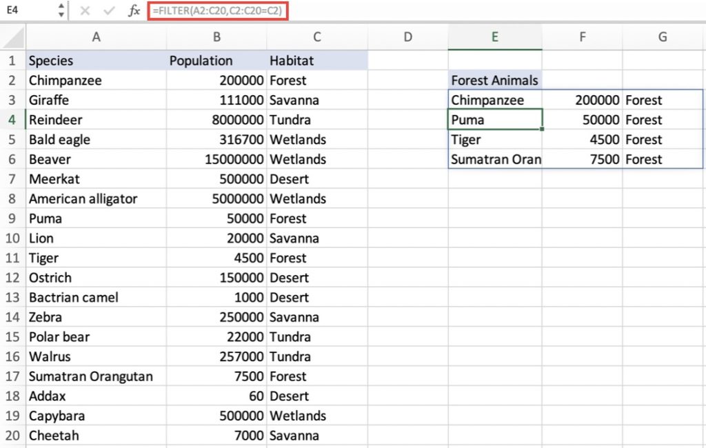 FILTER Function in Microsoft Excel - The Easy Way