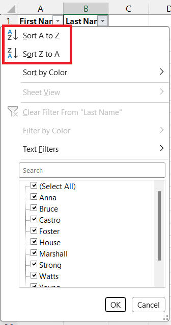 sort by name in excel