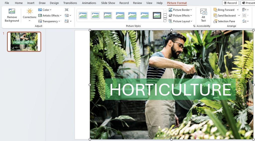 Blur images in powerpoint