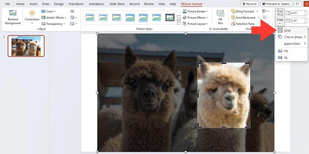 Blur images in powerpoint