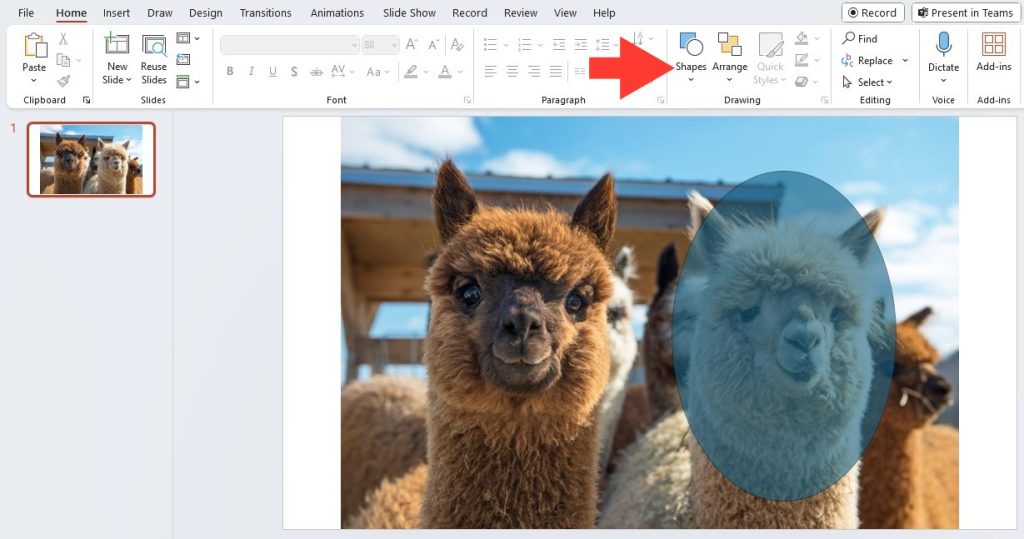 Blur images in powerpoint