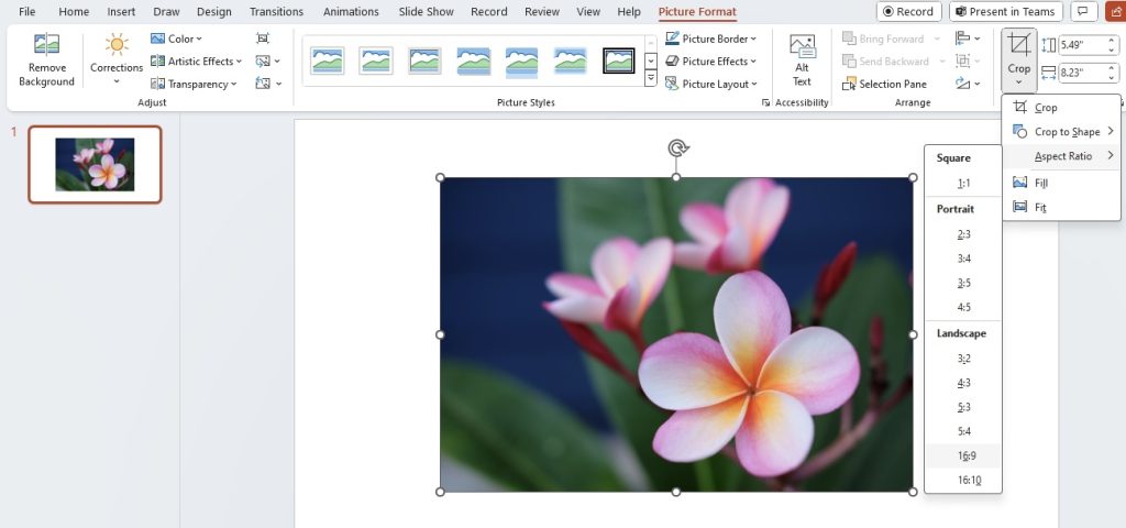 Crop pictures in powerpoint