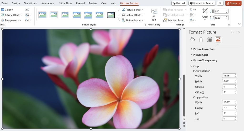 Crop pictures in powerpoint