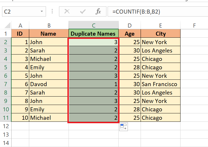 Count Duplicates