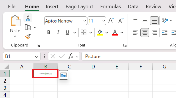 insert logo in Excel