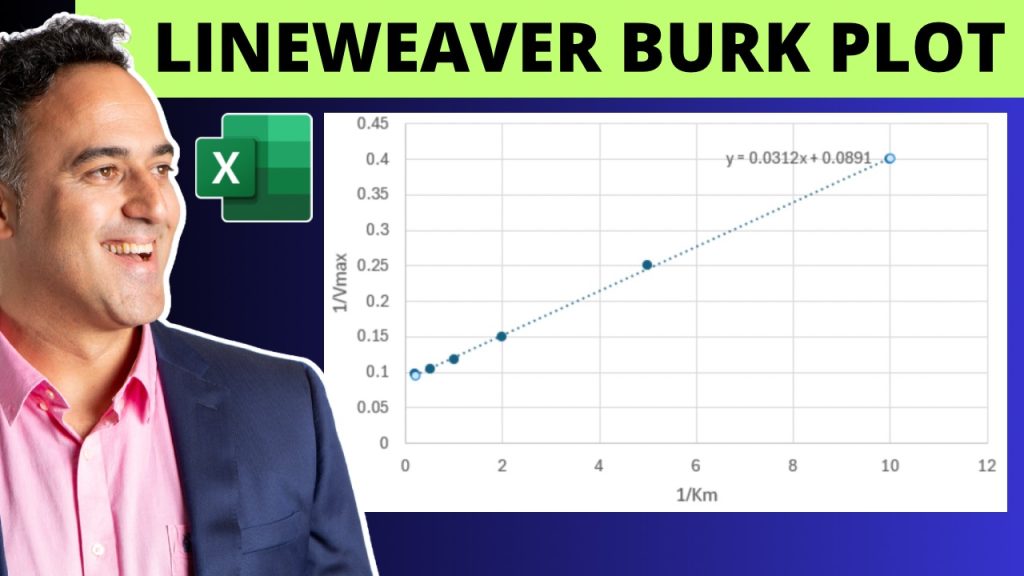 Lineweaver Burk Plot in excel