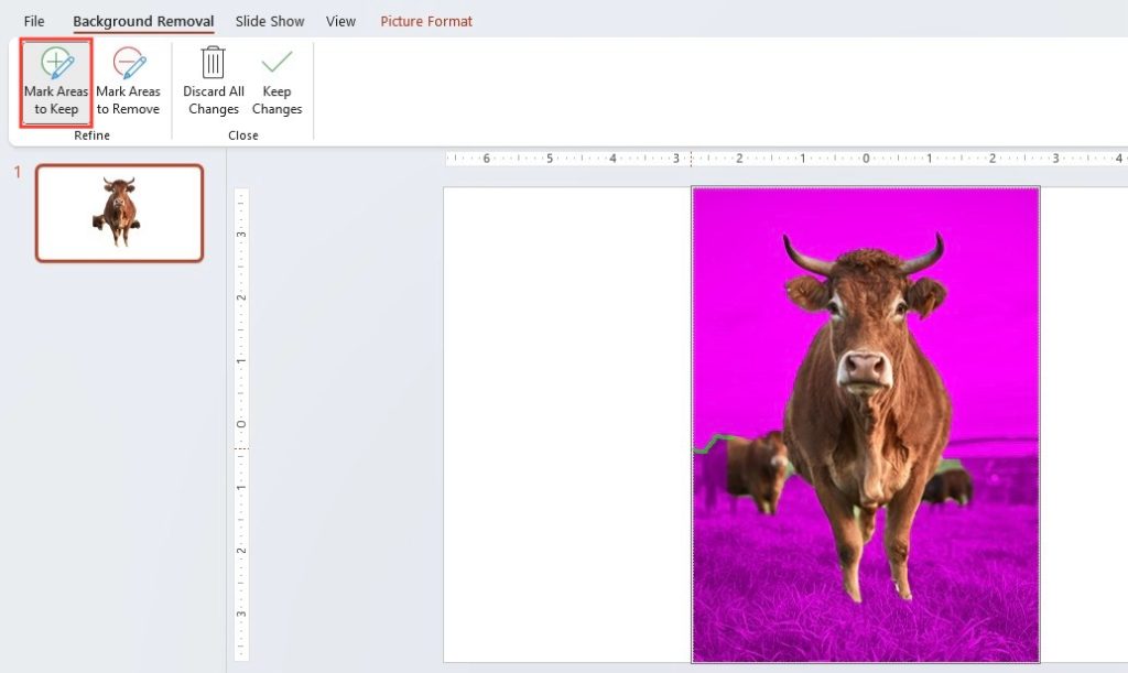 Remove Picture Backgrounds