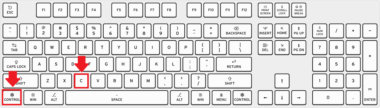 convert excel to word
