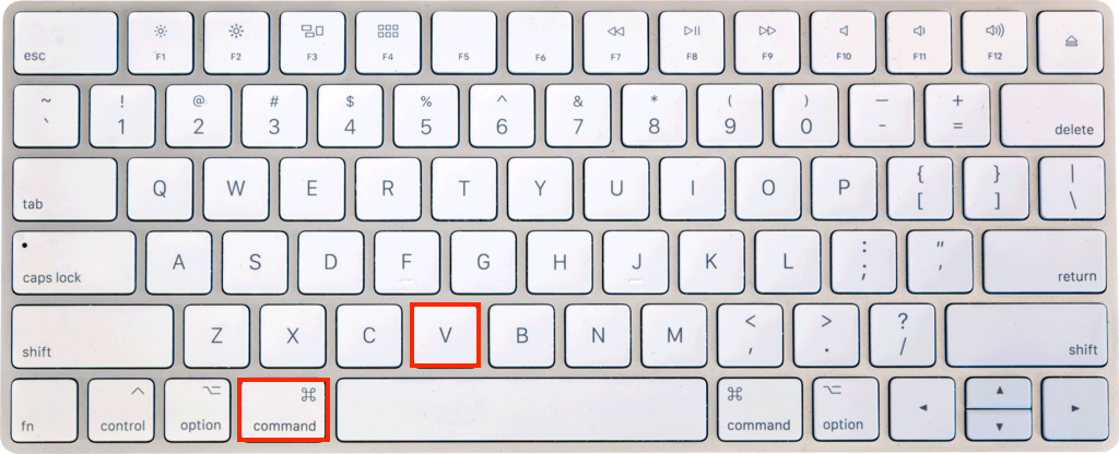 How to Cut Copy Paste in Mac Excel