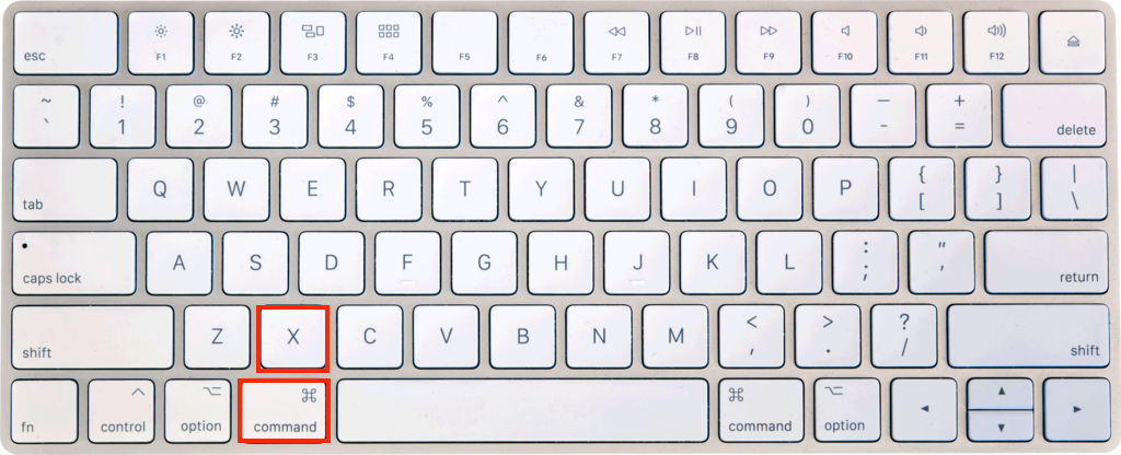 How to Cut Copy Paste in Mac Excel