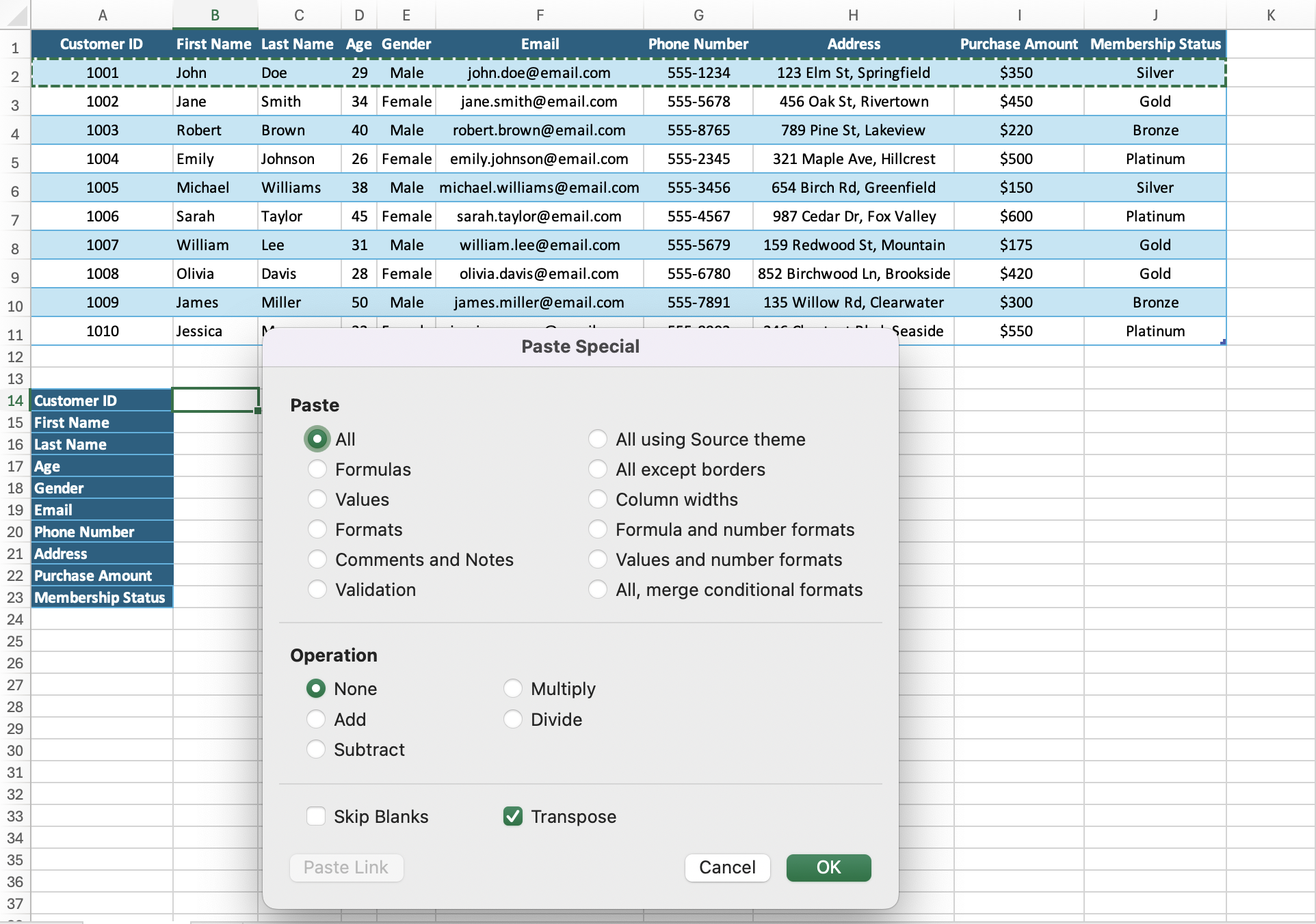 How to Cut Copy Paste in Mac Excel
