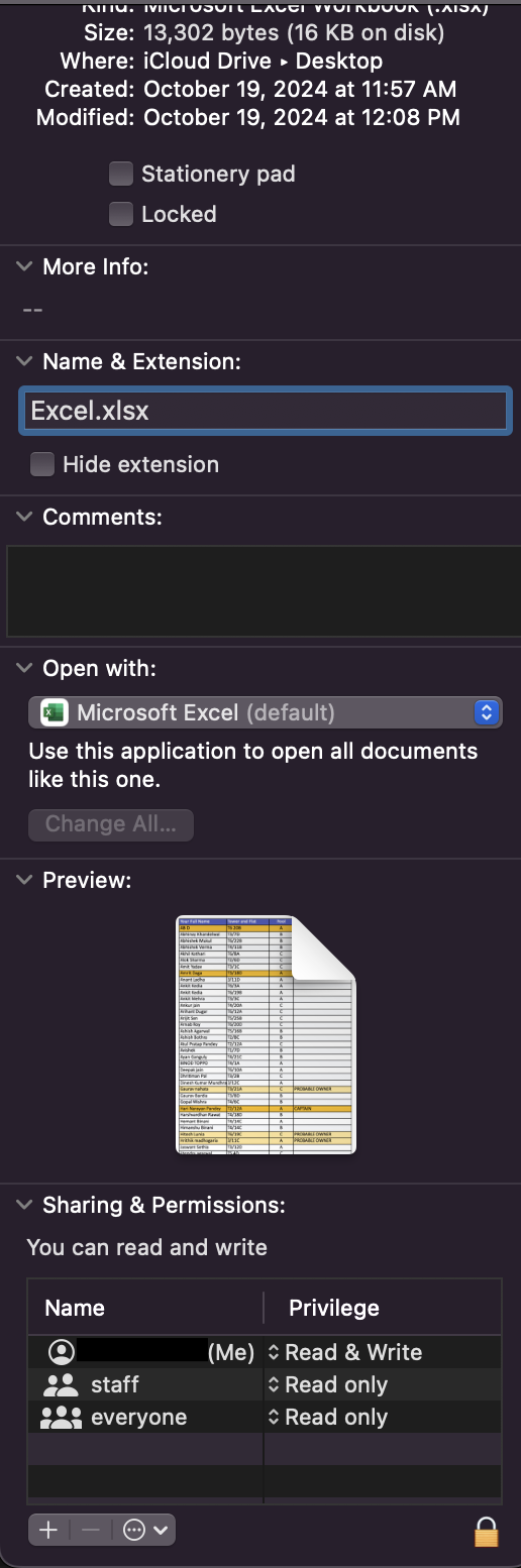 Save Excel on Mac