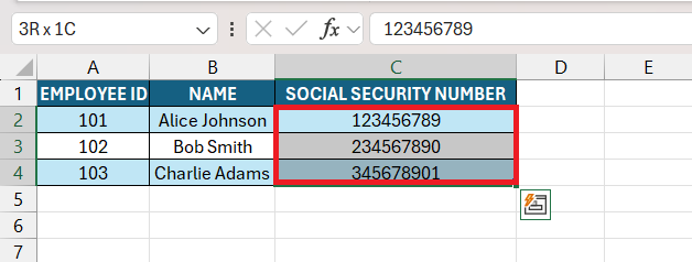 Social Security Number Format