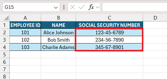 Social Security Number Format