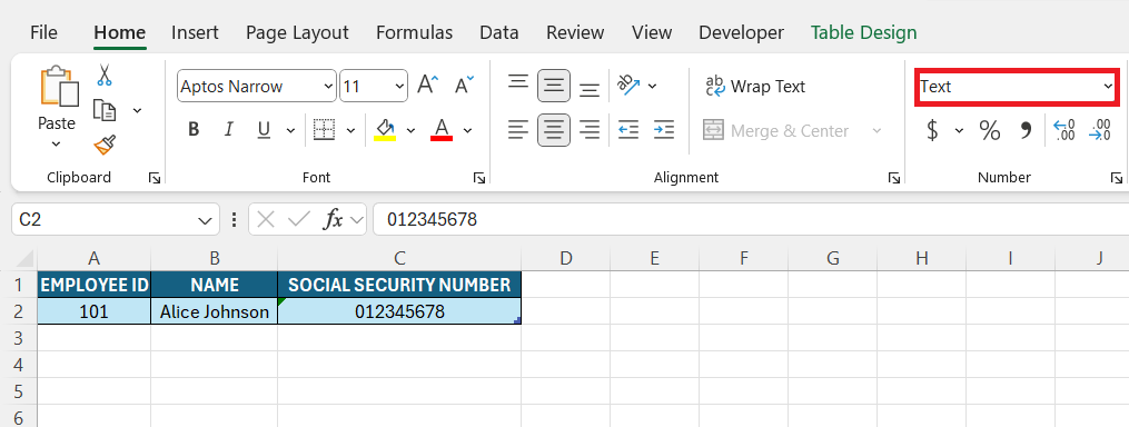 Social Security Number Format