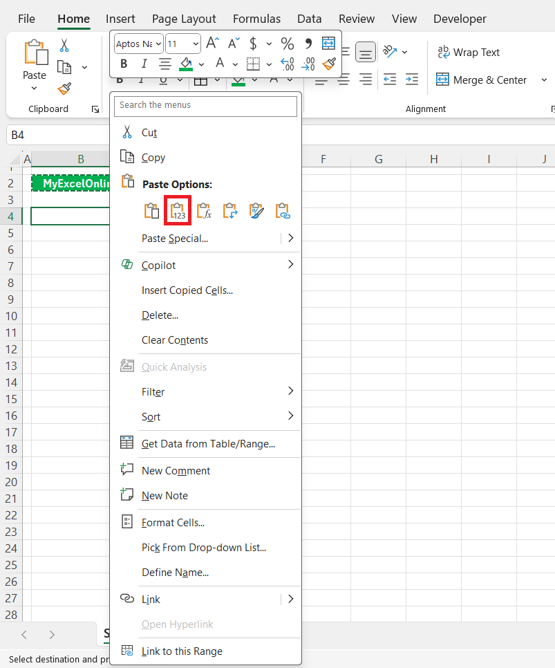 How to Paste in Excel