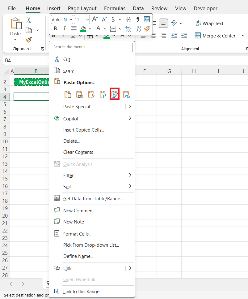 How to Paste in Excel