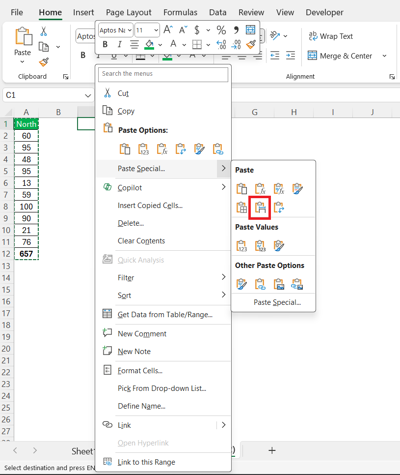 How to Paste in Excel