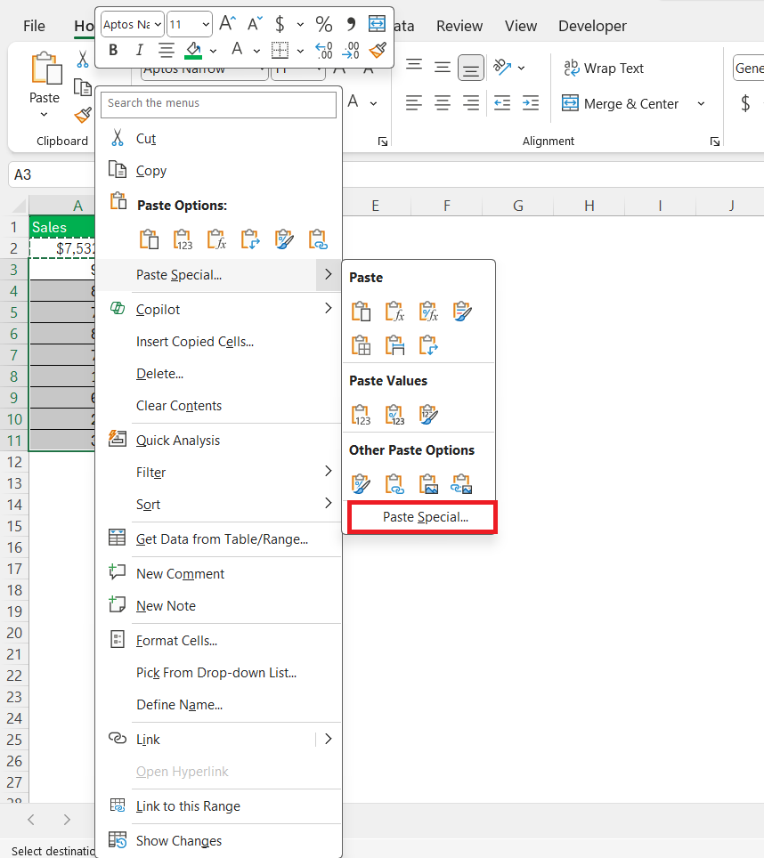 Copy Formatting in Excel