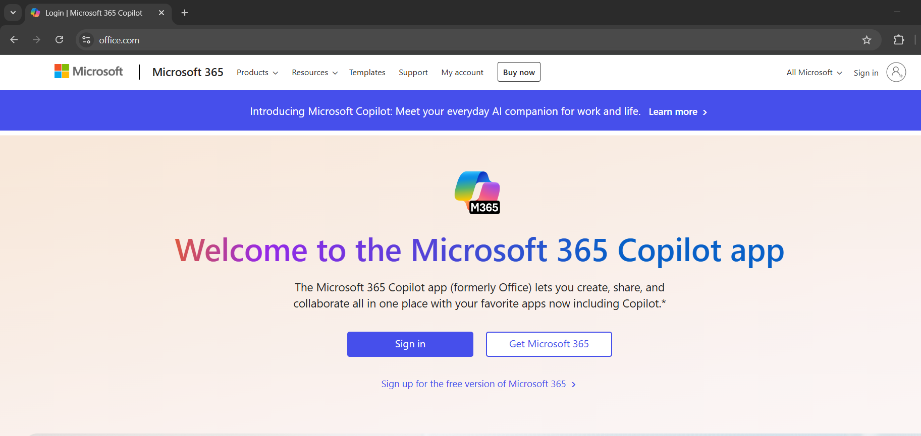 Excel for the Web