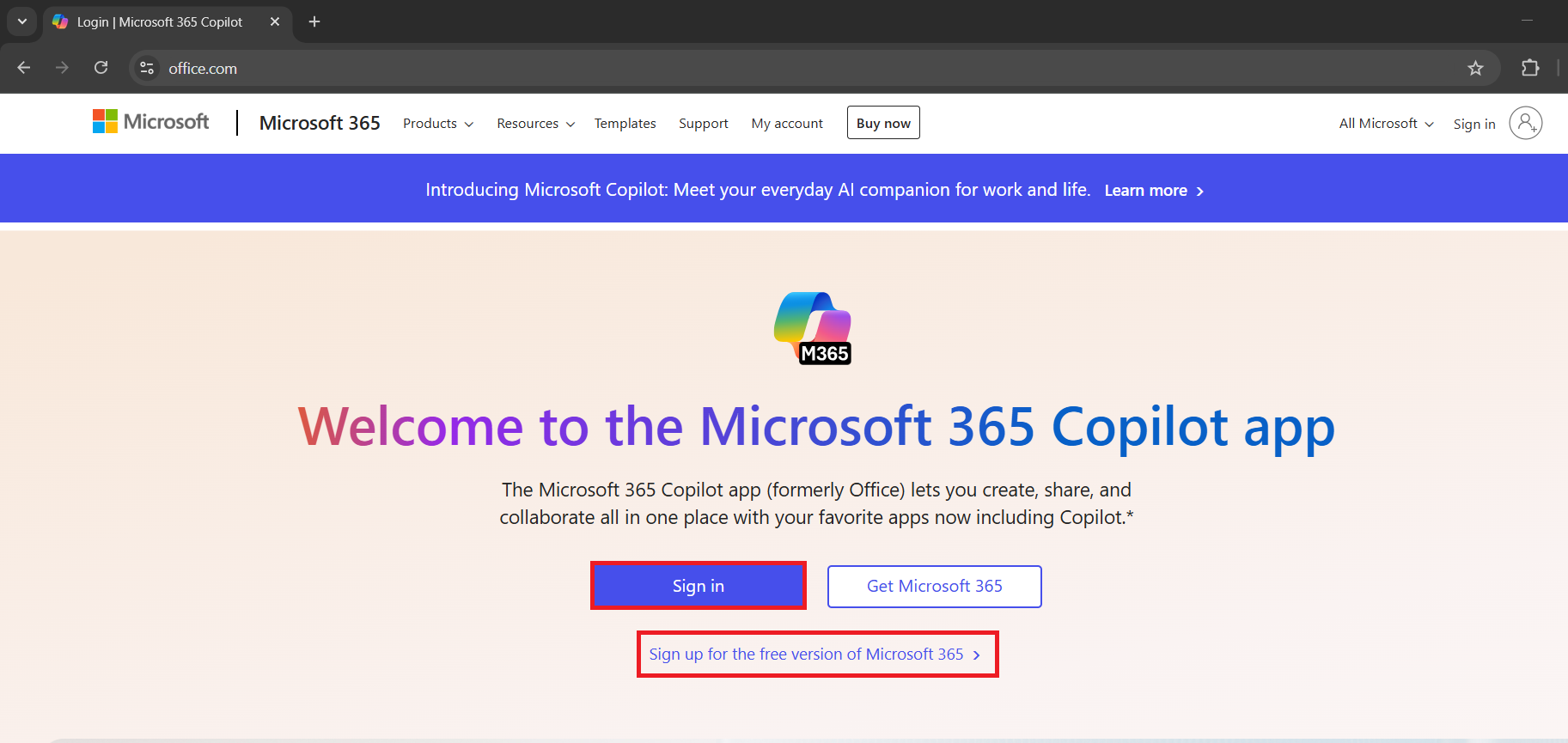 Excel for the Web